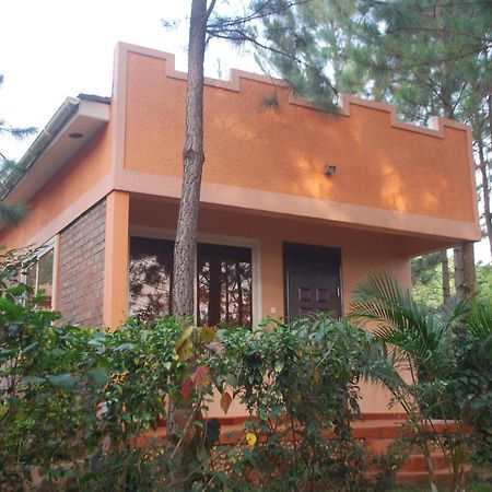 Saltek Forest Cottages Masindi Exterior foto