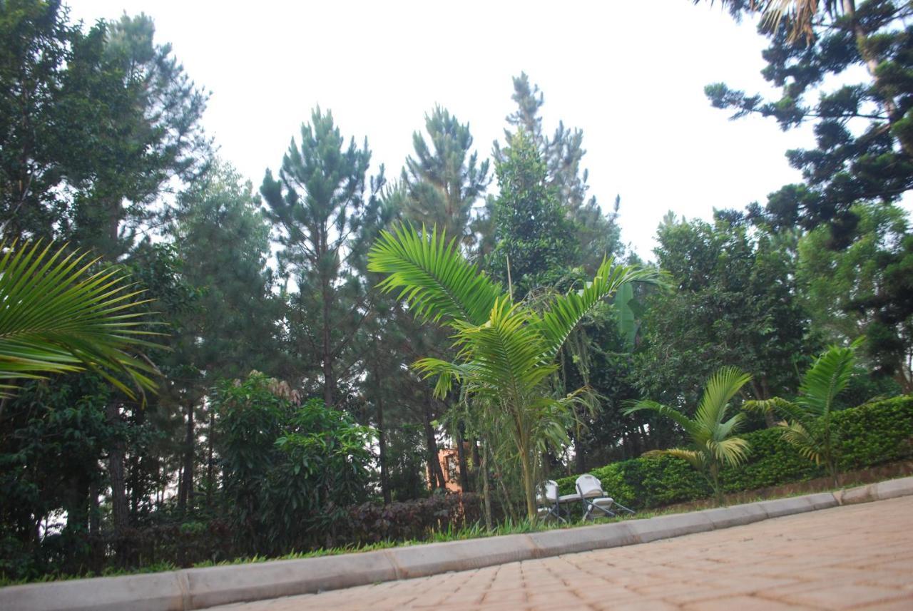 Saltek Forest Cottages Masindi Exterior foto