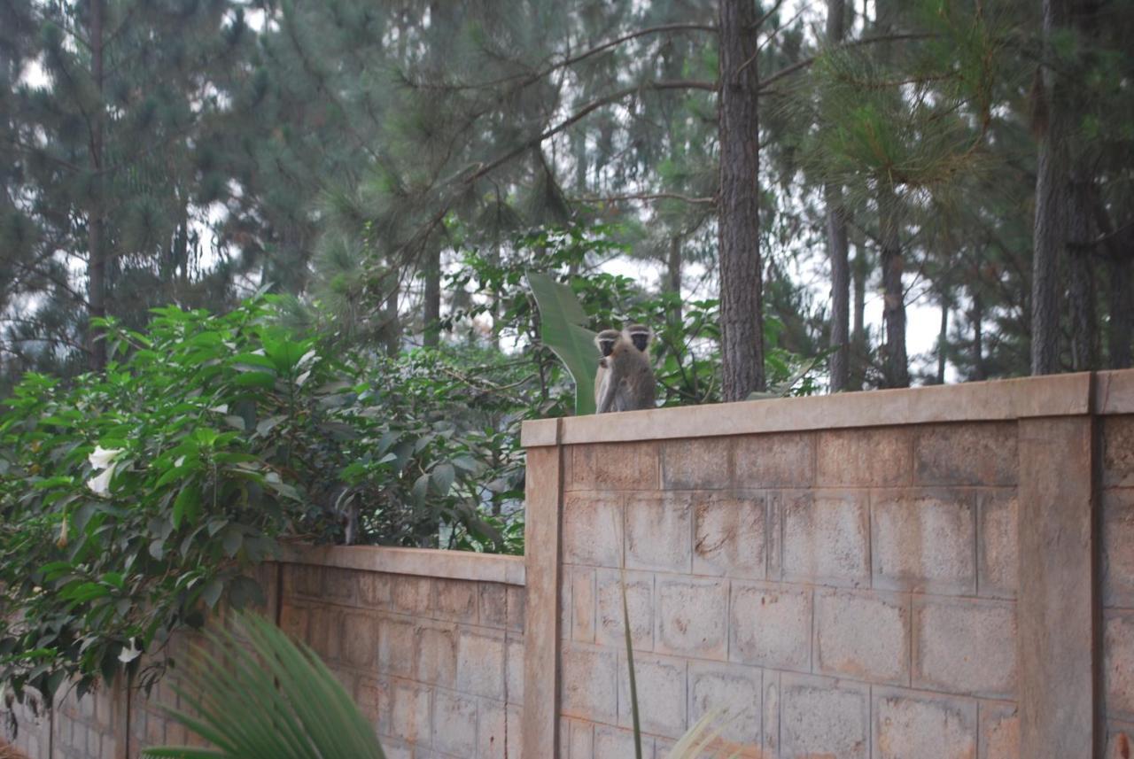 Saltek Forest Cottages Masindi Exterior foto