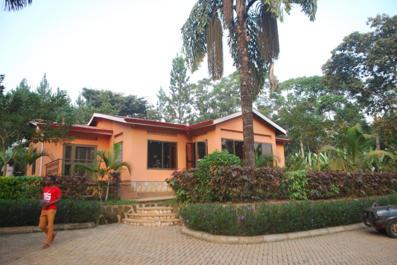 Saltek Forest Cottages Masindi Exterior foto