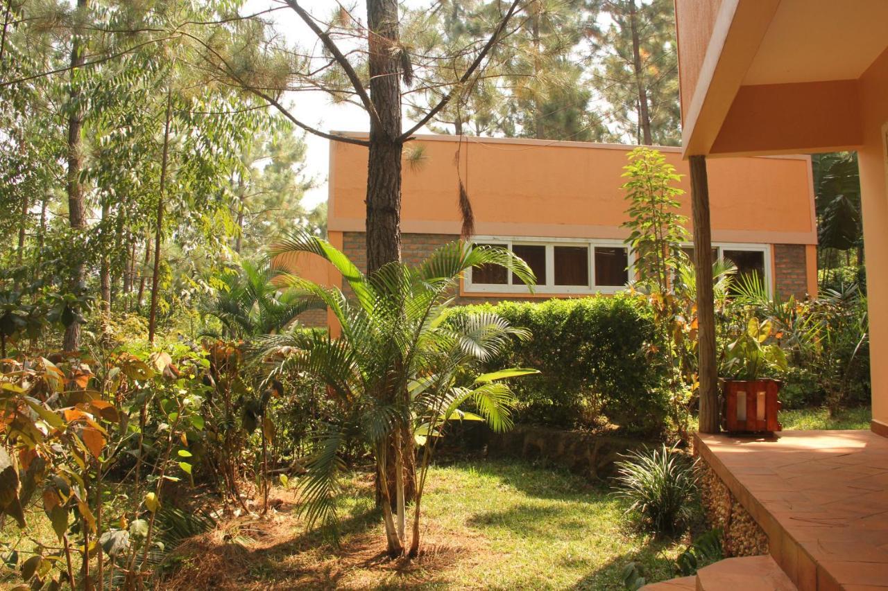 Saltek Forest Cottages Masindi Exterior foto